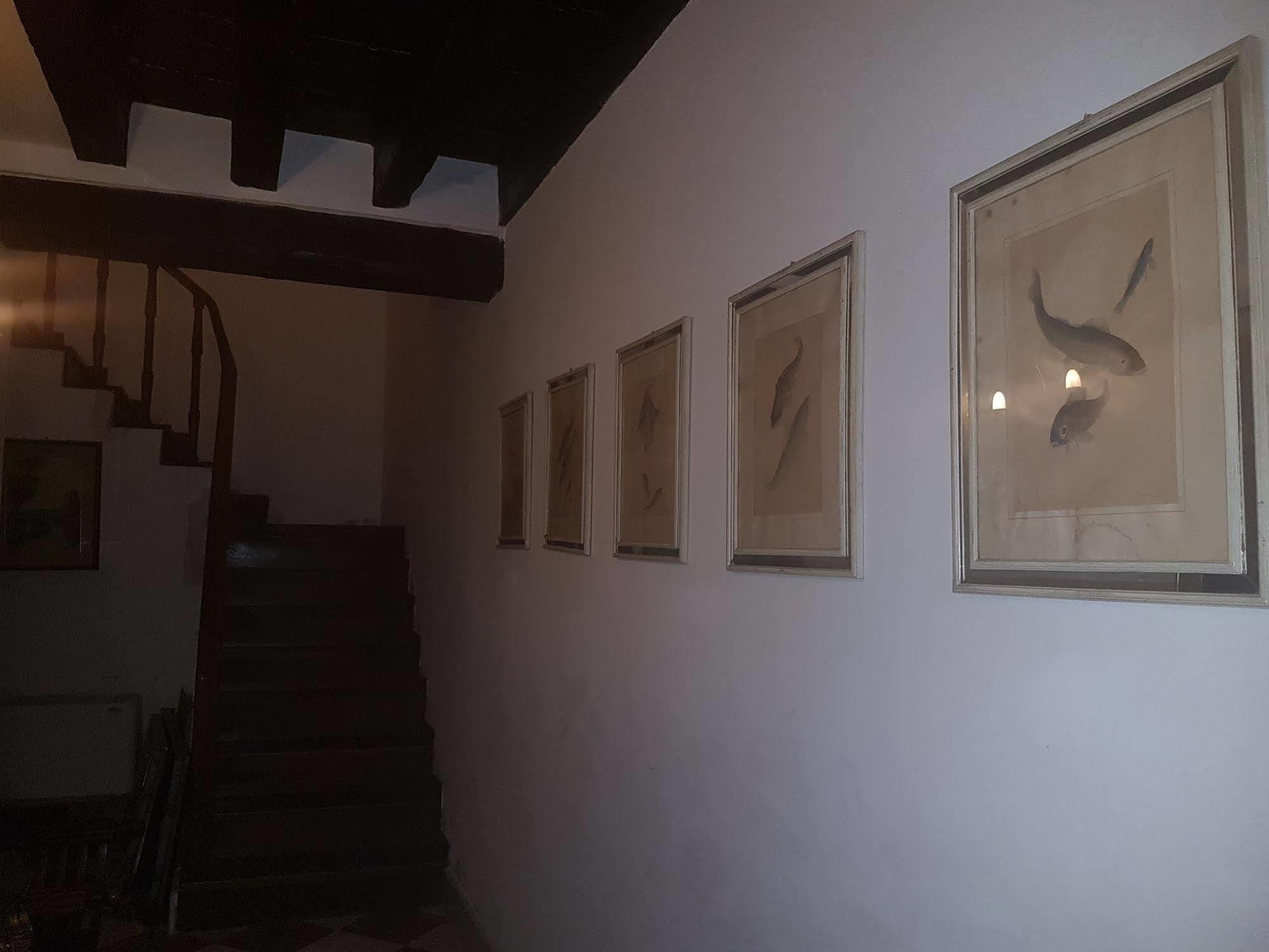 Casa Arte Hotel Veneţia Exterior foto